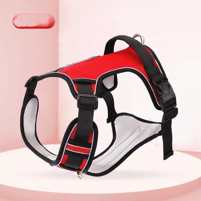 Pet Harness and Hand Holding Rope - Tiki's Geschenke Boutique