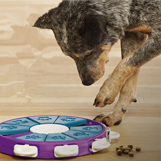 Dog educational toys - Tiki's Geschenke Boutique