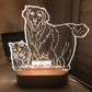 Custom Photo 3D Stereo Night Light