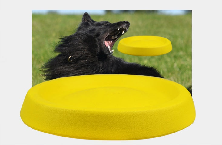 Pet Dogs Throwing Plastic Toys - Tiki's Geschenke Boutique