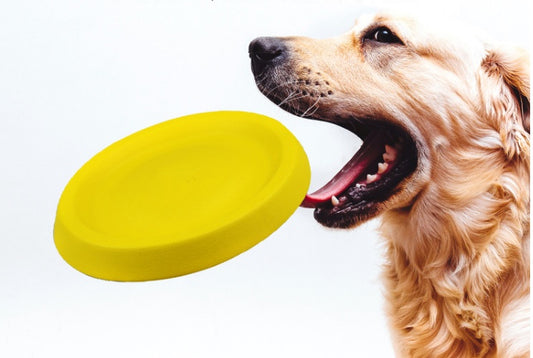 Pet Dogs Throwing Plastic Toys - Tiki's Geschenke Boutique