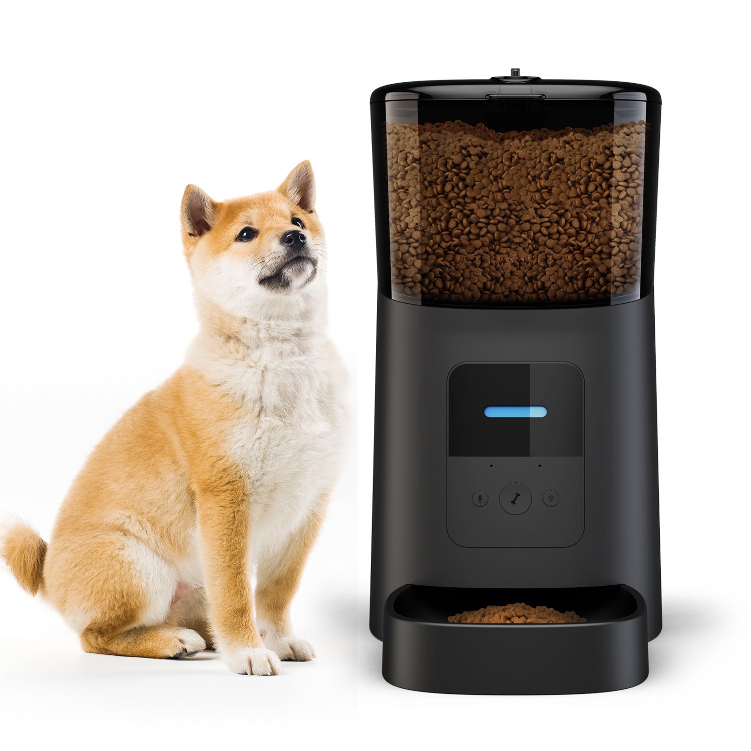 Pet automatic feeder - Tiki's Geschenke Boutique