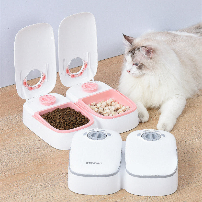 Mangeoire automatique pour animaux de compagnie