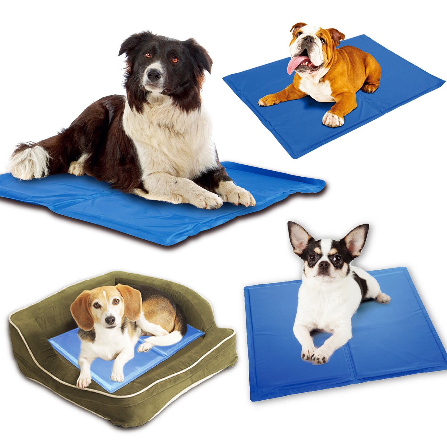 Dog Cooling Mat - Tiki's Geschenke Boutique