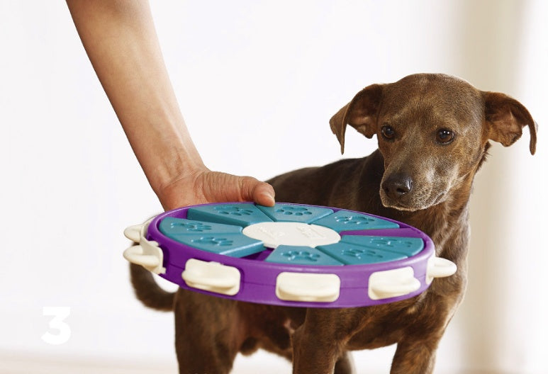 Dog educational toys - Tiki's Geschenke Boutique