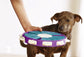 Dog educational toys - Tiki's Geschenke Boutique