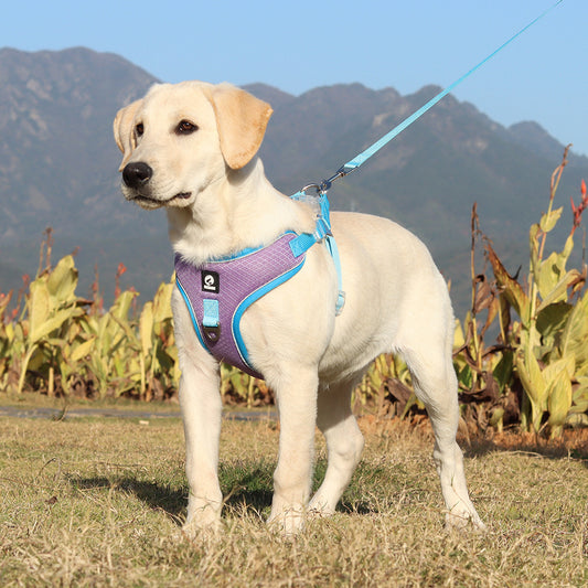 Breathable Pet Harness Adjustable Leash - Tiki's Geschenke Boutique