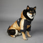 Veste imperméable pour chien de grande taille