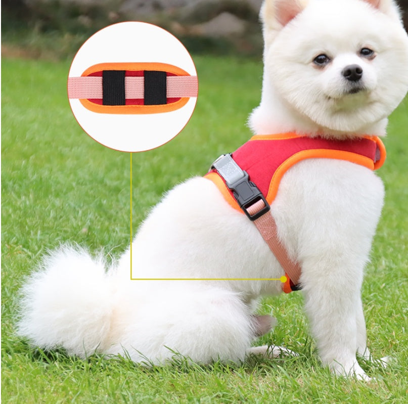 Dog Harness and Leash - Tiki's Geschenke Boutique