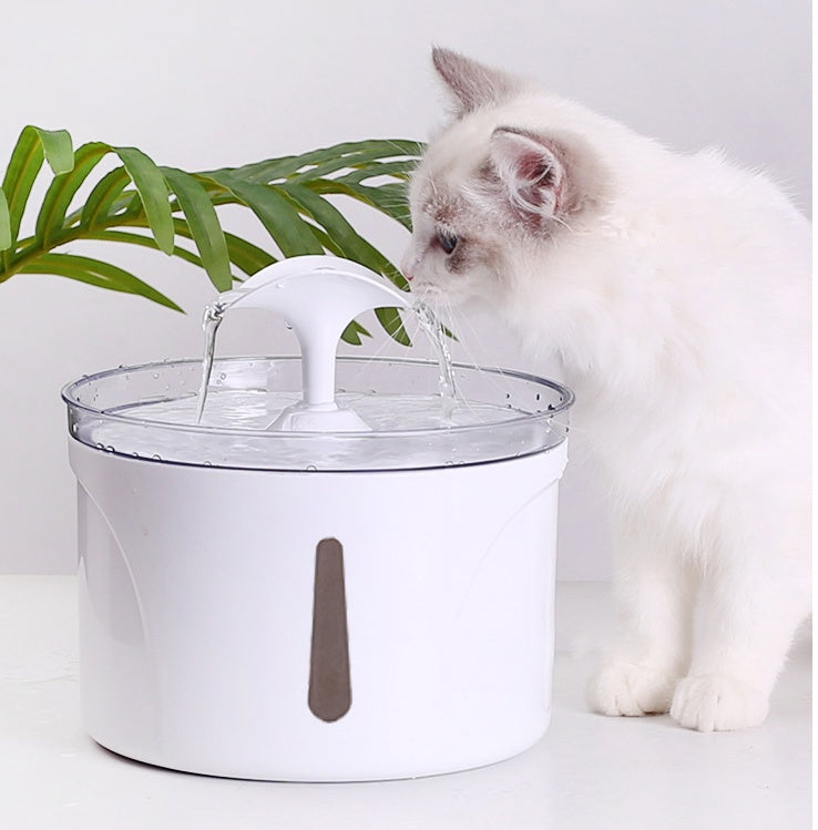 Distributeur d'eau à filtre à circulation automatique intelligent pour animaux de compagnie