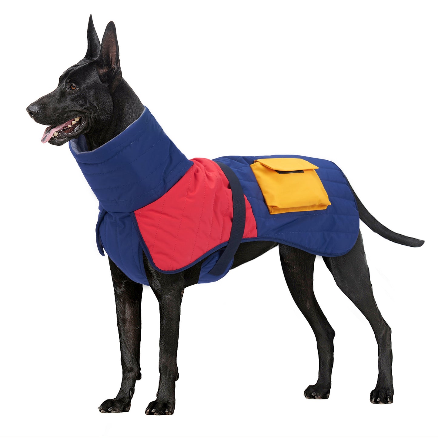 Manteau d'hiver rembourré et chaud pour chien